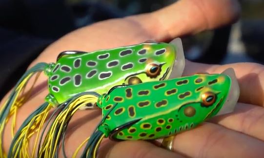 may use frog lures for fishing effectively. In Fathera.com you can get frog lures in different colors, shapes, etc.